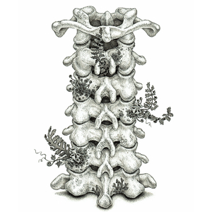 邻居少妇张开腿让我爽了更新时间
