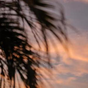 邻居少妇张开腿让我爽了更新时间
